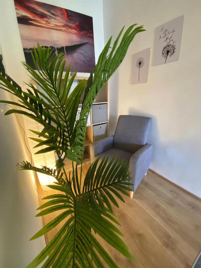 Apartment Dora Zadar Ngoại thất bức ảnh